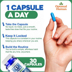 OH Optimal Human Naturals vegan plant-based capsules designed for animal-free supplementation.
