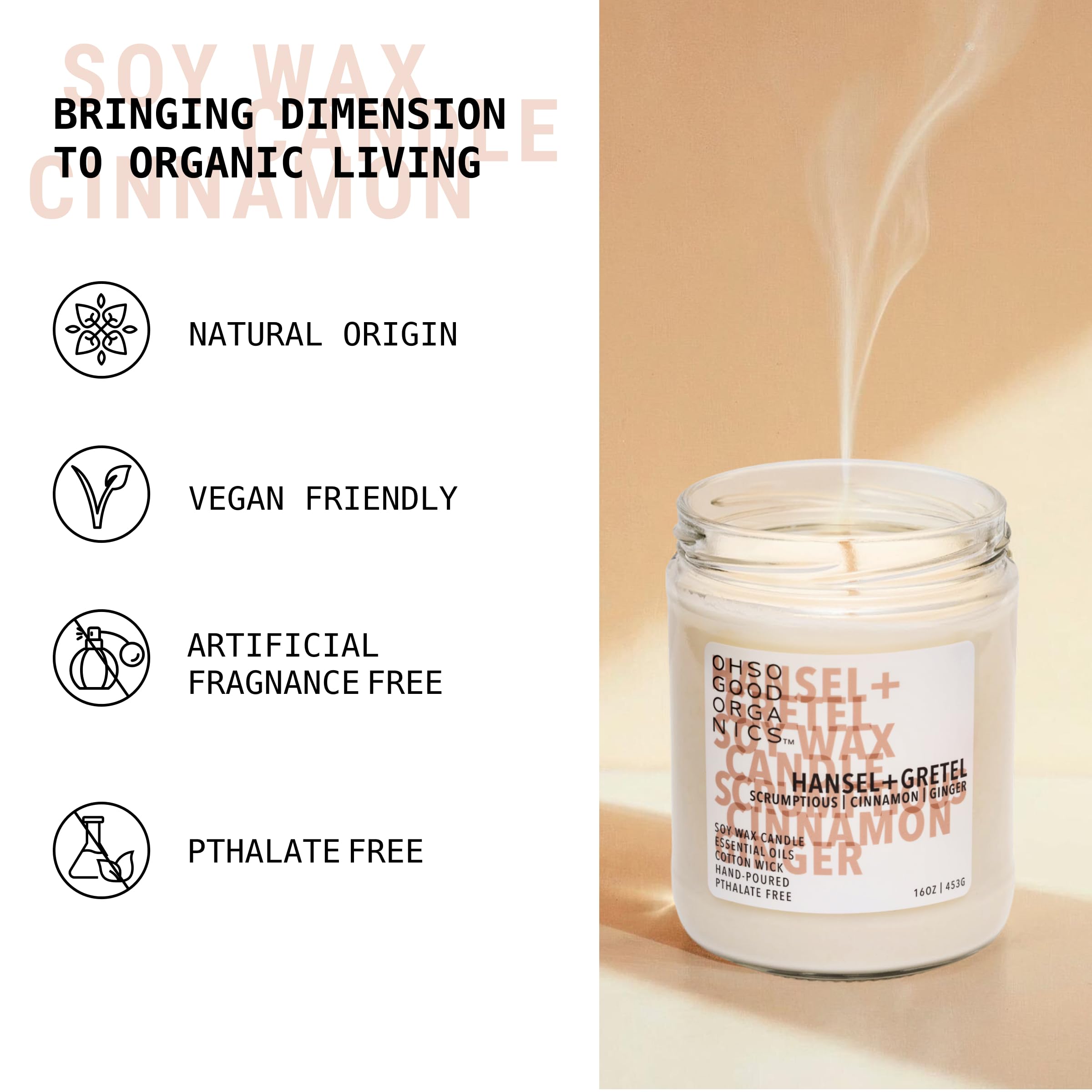 OH SO GOOD ORGANICS aromatherapy candle Cinnamon Ginger glow for cozy living room ambiance