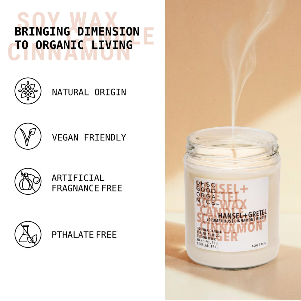 OH SO GOOD ORGANICS aromatherapy candle Cinnamon Ginger glow for cozy living room ambiance