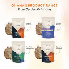 Flat lay Ohana Cordyceps powder with spoon for vitality.