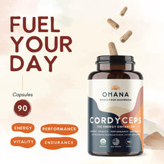 Ohana Cordyceps powder on spoon for versatile drink additions