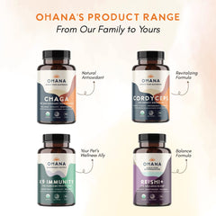 Ohana Cordyceps in shake cup showing convenient daily use