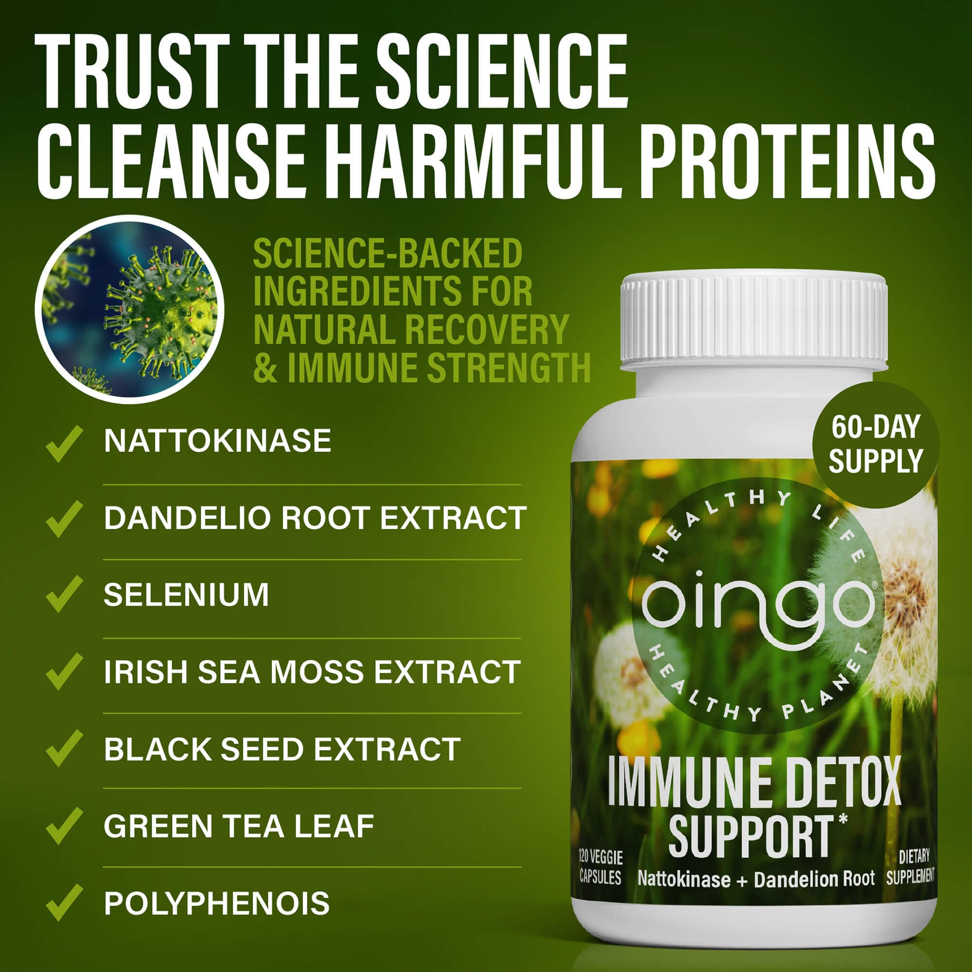 Close-up of Oingo capsules highlighting easy daily supplementation.