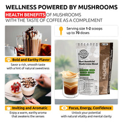 OldSoul five-mushroom blend ingredients close-up for sustained energy