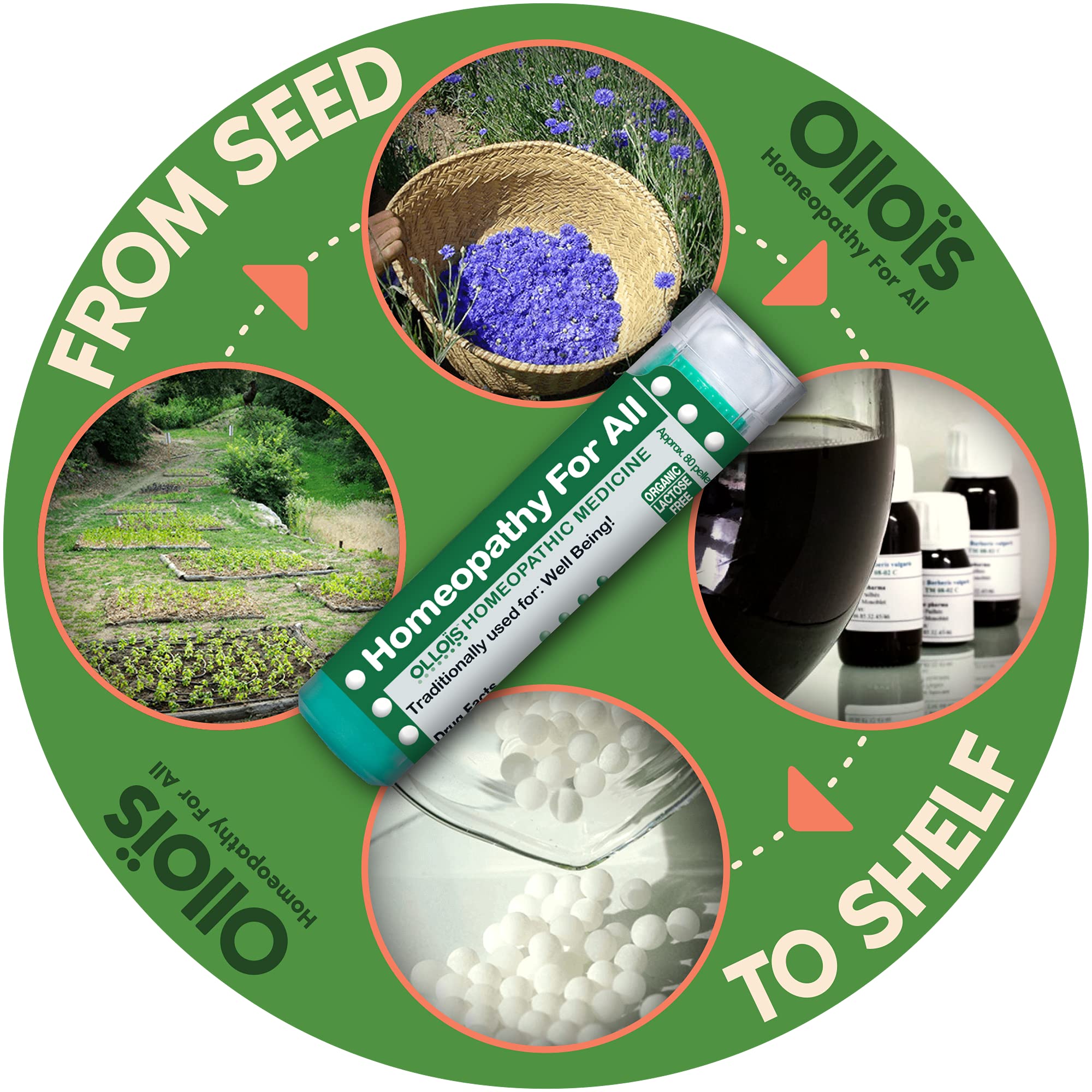 OLLOÏS Seed-to-Shelf process showcases in-house tinctures