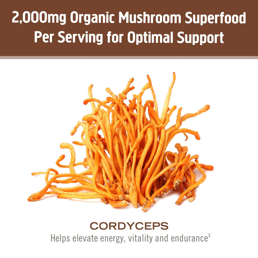 Cordyceps powder in shaker bottle dissolves easily for quick performance support
