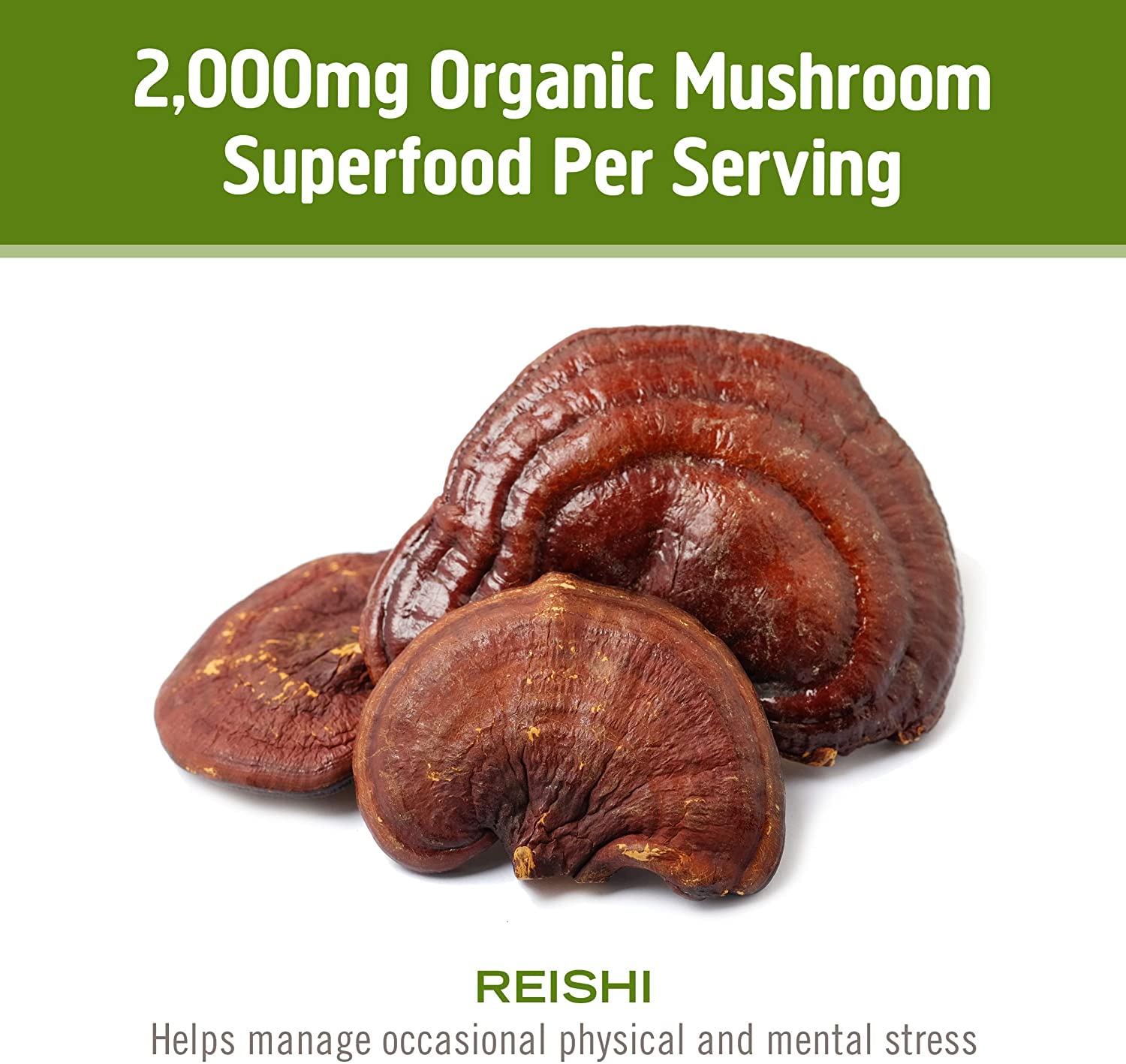 Reishi capsules on a kitchen shelf ready for daily routine