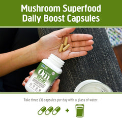 Front packaging of OM Mushroom Superfood Reishi capsules emphasizing organic origin