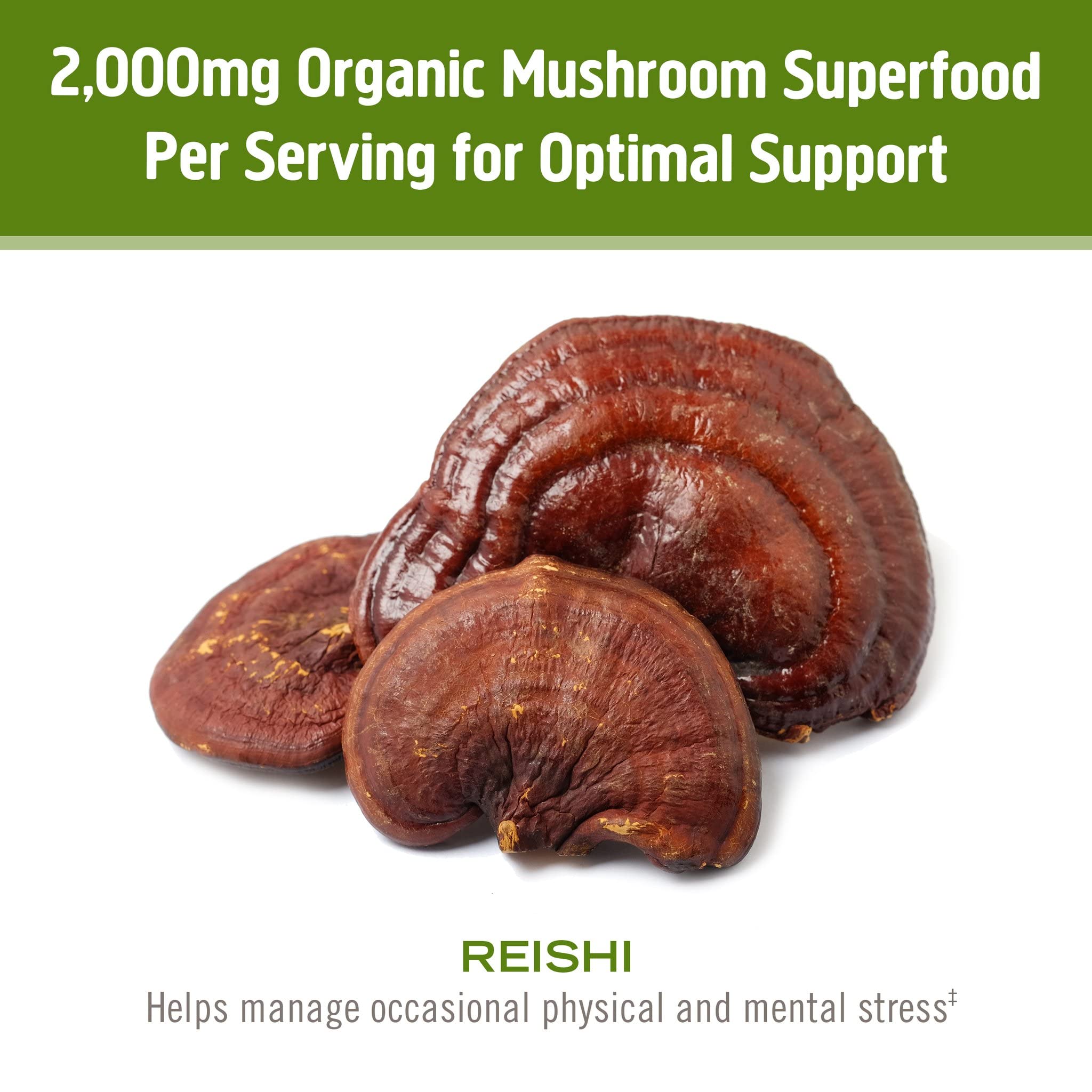 OM Mushroom Reishi powder in coffee for steady calm energy