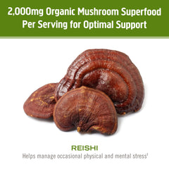 OM Mushroom Reishi powder in coffee for steady calm energy