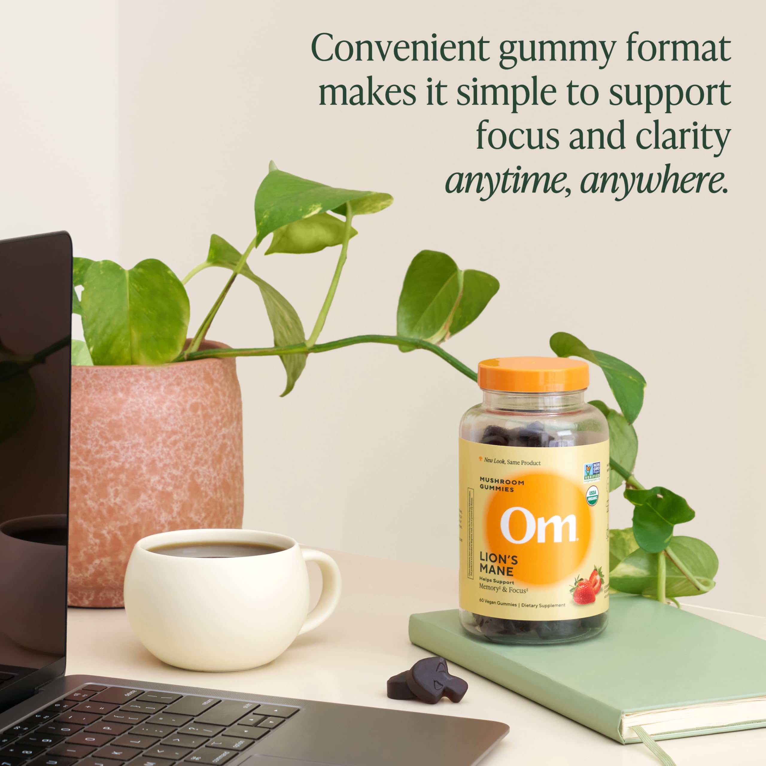 OM Lion’s Mane Gummies displayed with fresh strawberries for flavor cue.