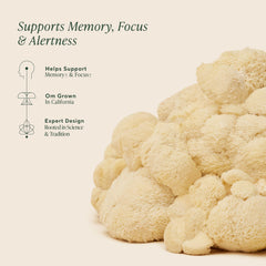 Organic Lion’s Mane ingredients highlight quality in this OM Mushroom powder.
