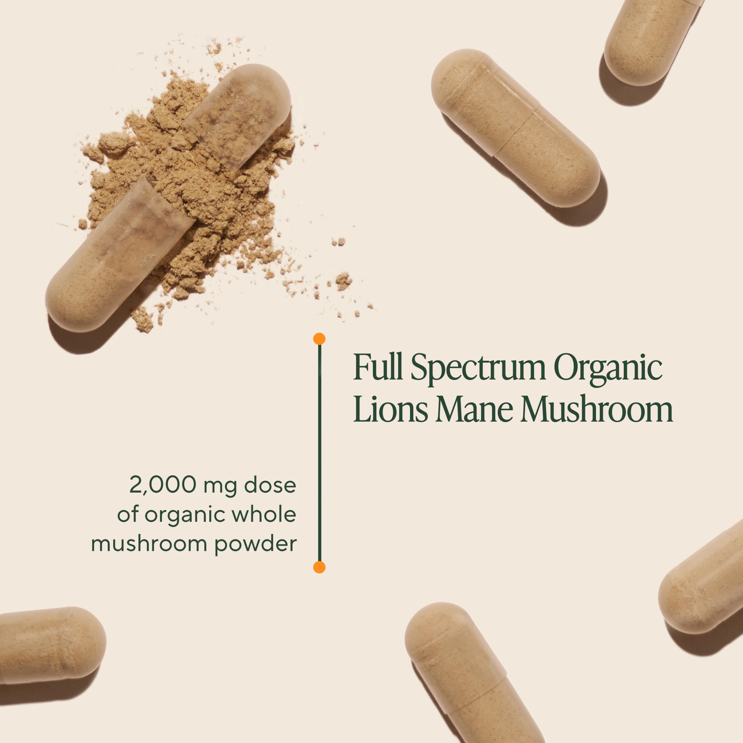OM MUSHROOM SUPERFOOD organic lions mane capsules close-up label highlighting purity