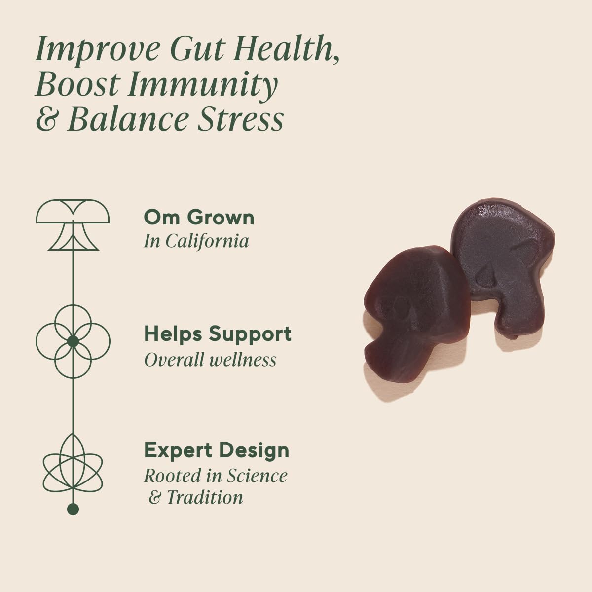 OM Mushroom Superfood Reishi Relax gummies close-up with soothing color and texture