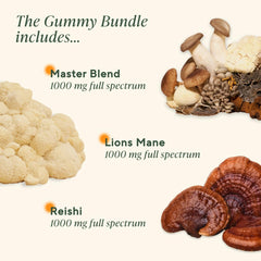 OM Mushroom Superfood Reishi Relax gummies bottle in a calm home setting
