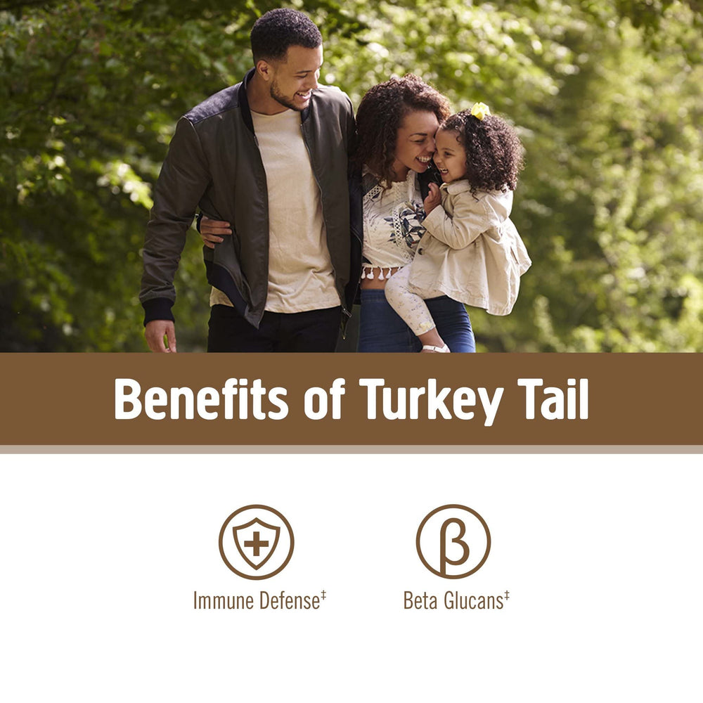 Om Mushroom Turkey Tail powder stirred into coffee for easy immune support.