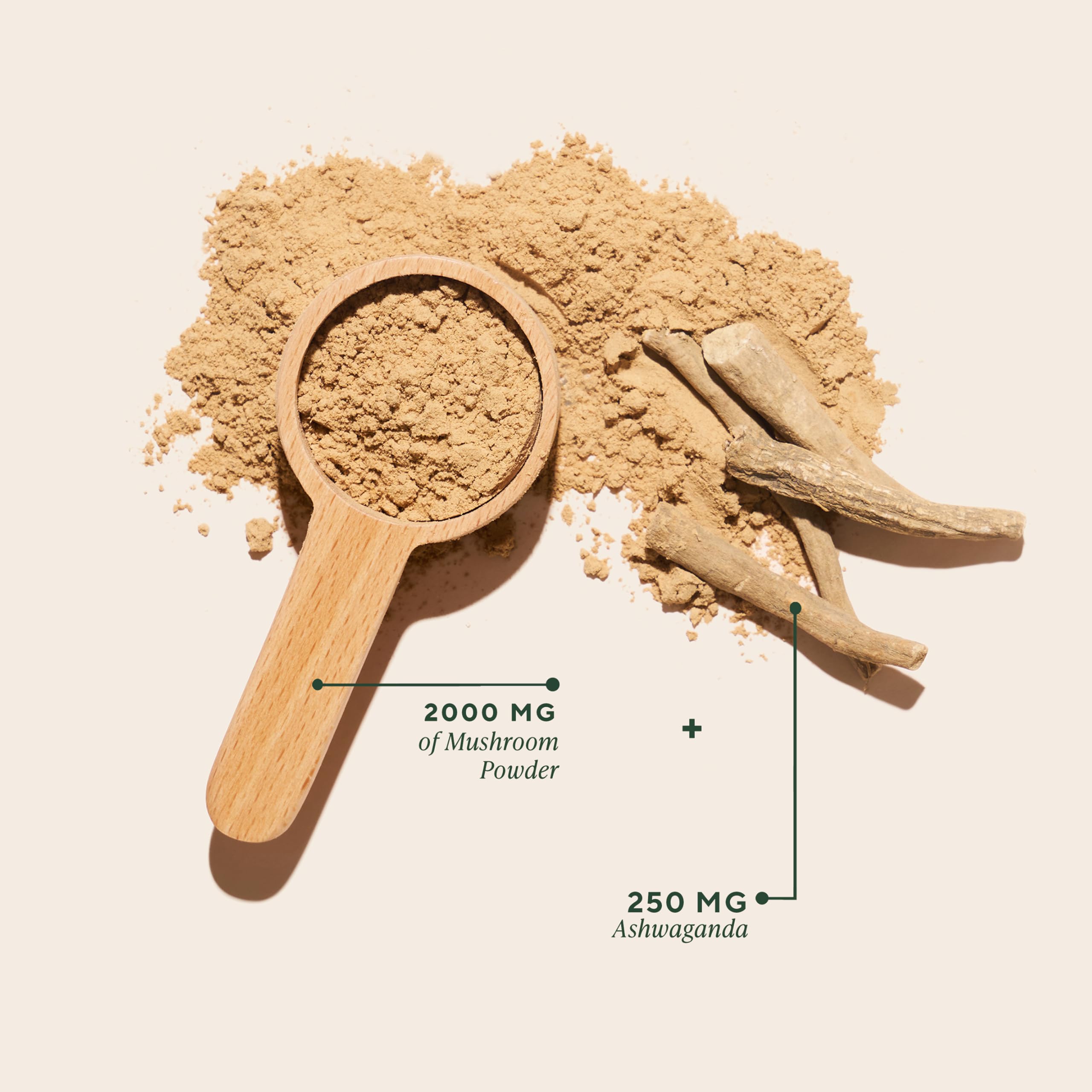 OM Mushrooms Master Blend shaken into smoothie glass highlighting natural energy support.