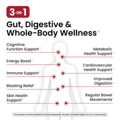 Ombre probiotic capsules for daily use supporting comfortable digestion and reduced bloating.