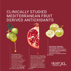 OmegaXL HeartXL Advanced capsules close-up highlighting three Mediterranean antioxidants.