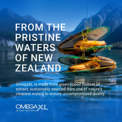 OmegaXL softgels with no fishy aftertaste feature demonstrated.