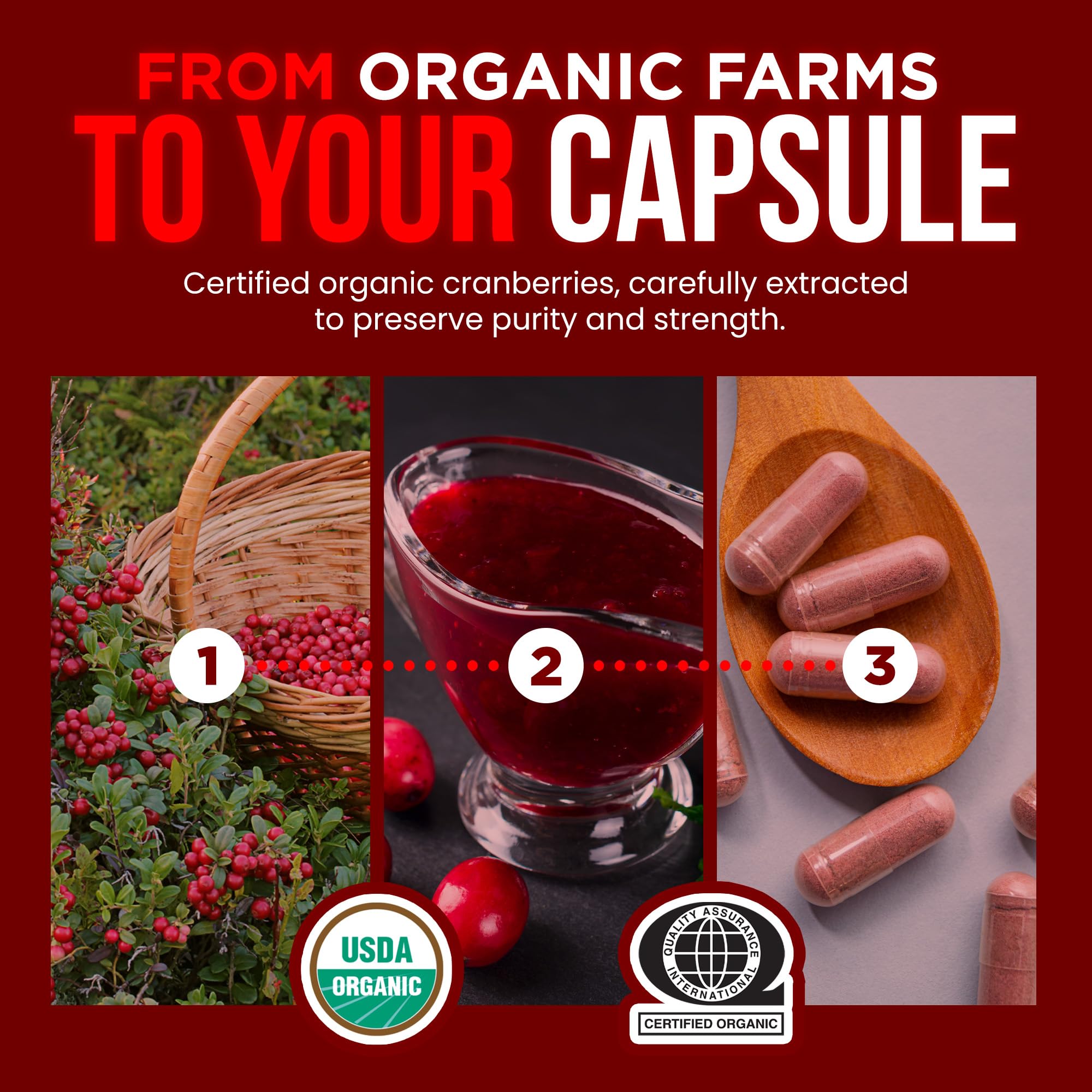 OmniBiotics cranberry-fruit-extract-visual with berries emphasizes antioxidant-inspired benefits.
