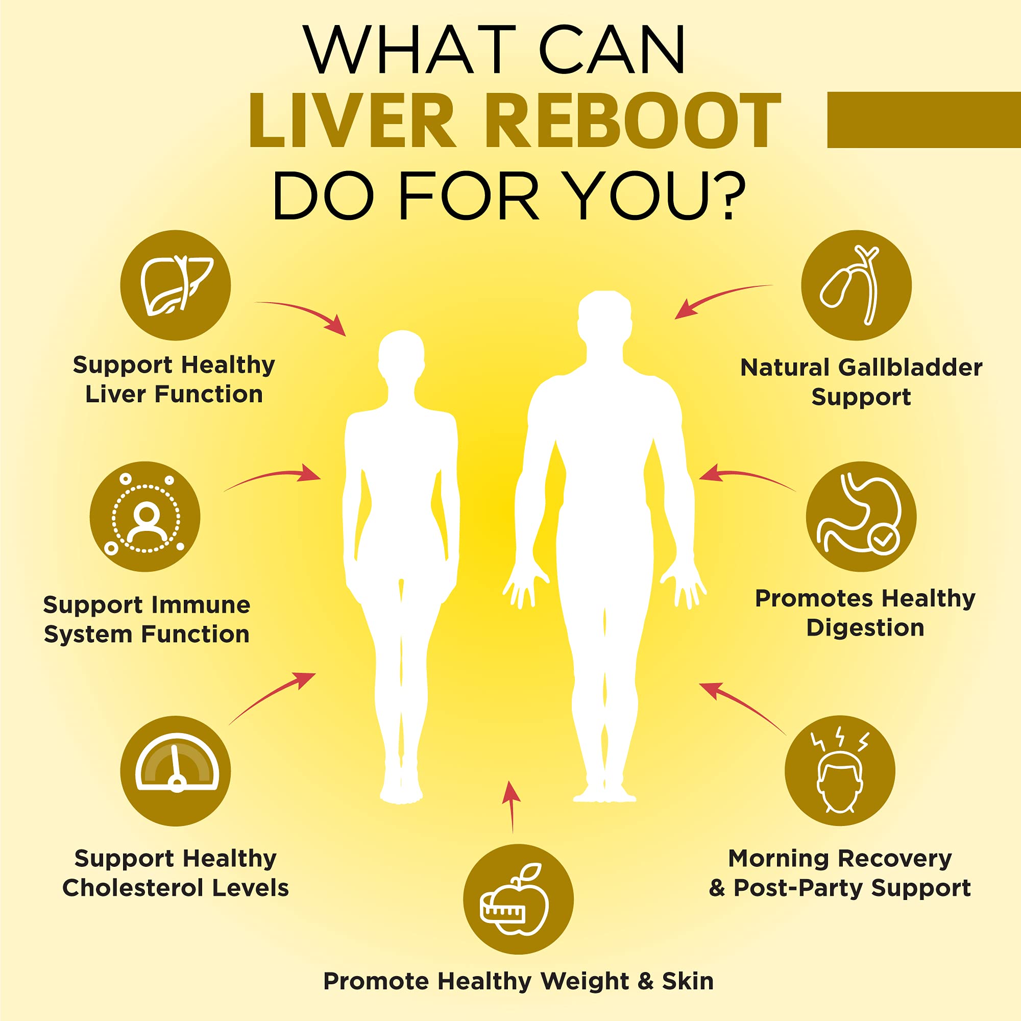 Artichoke extract visuals with OmniBiotics Liver Cleanse highlight advanced liver support