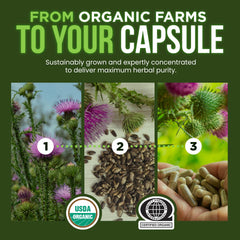 OmniBiotics non-GMO and gluten-free badge beside packaging.