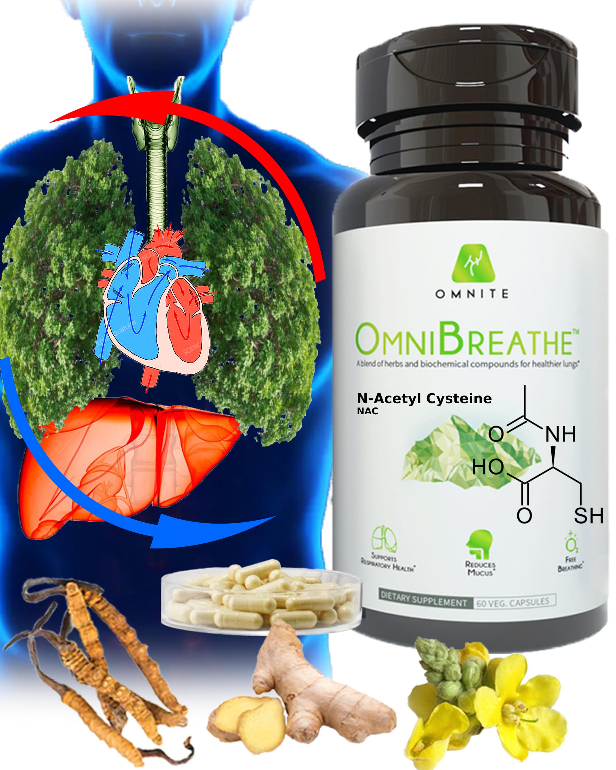Omnite Asthma Relief bottle pour for easy daily lung comfort.