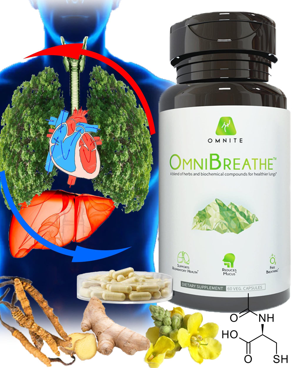 Omnite OMNIBREATHE label highlights mullein leaf extract for lung support