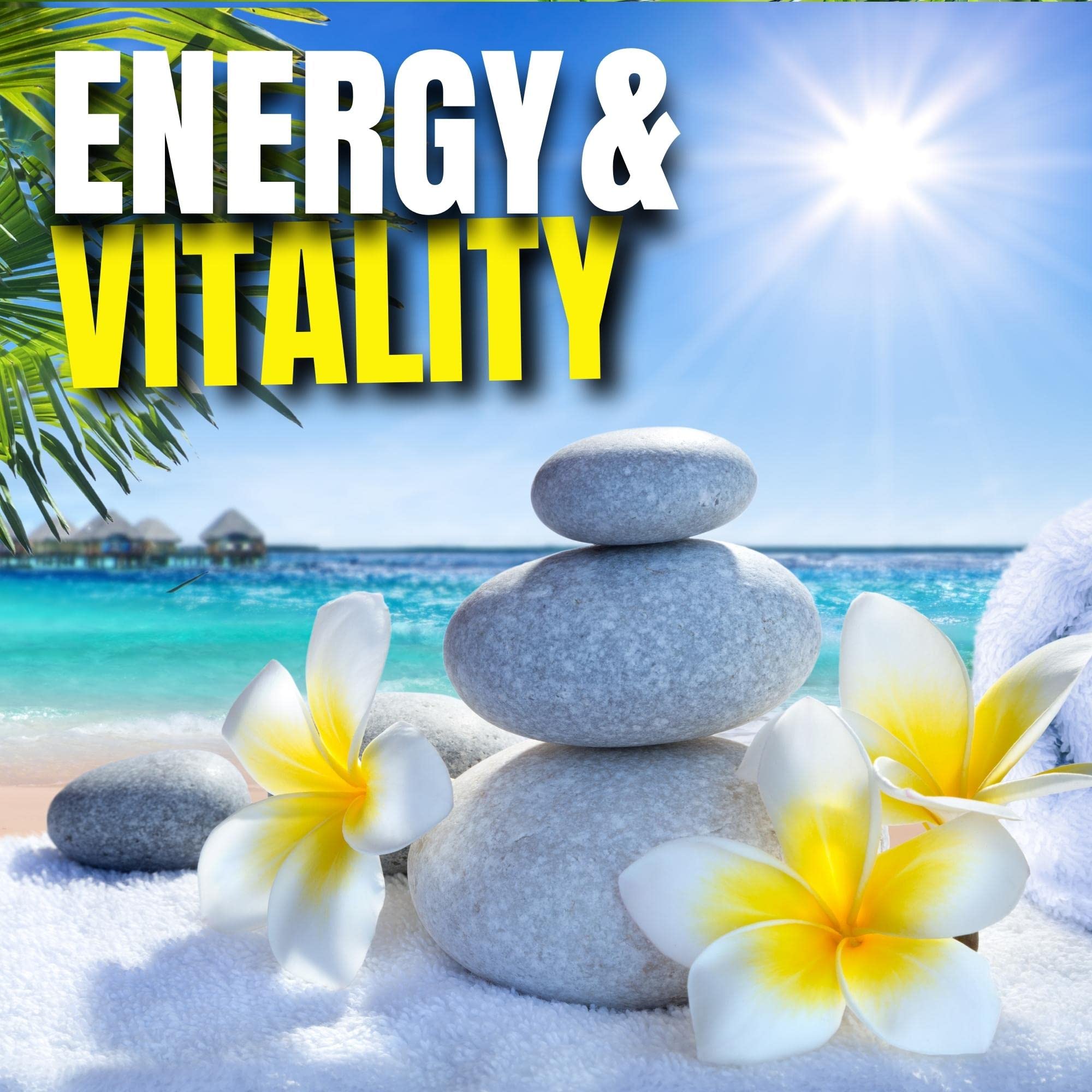 Omnitrition Charge Sugar Free Orange beverage bottle—stevia-sweetened option for energy.