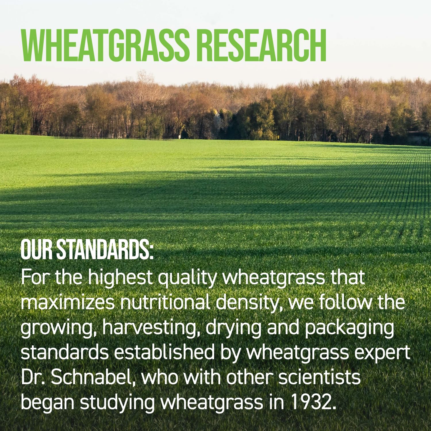 On Target Living Wheatgrass Tablets bottle detail showing label and quality seals.