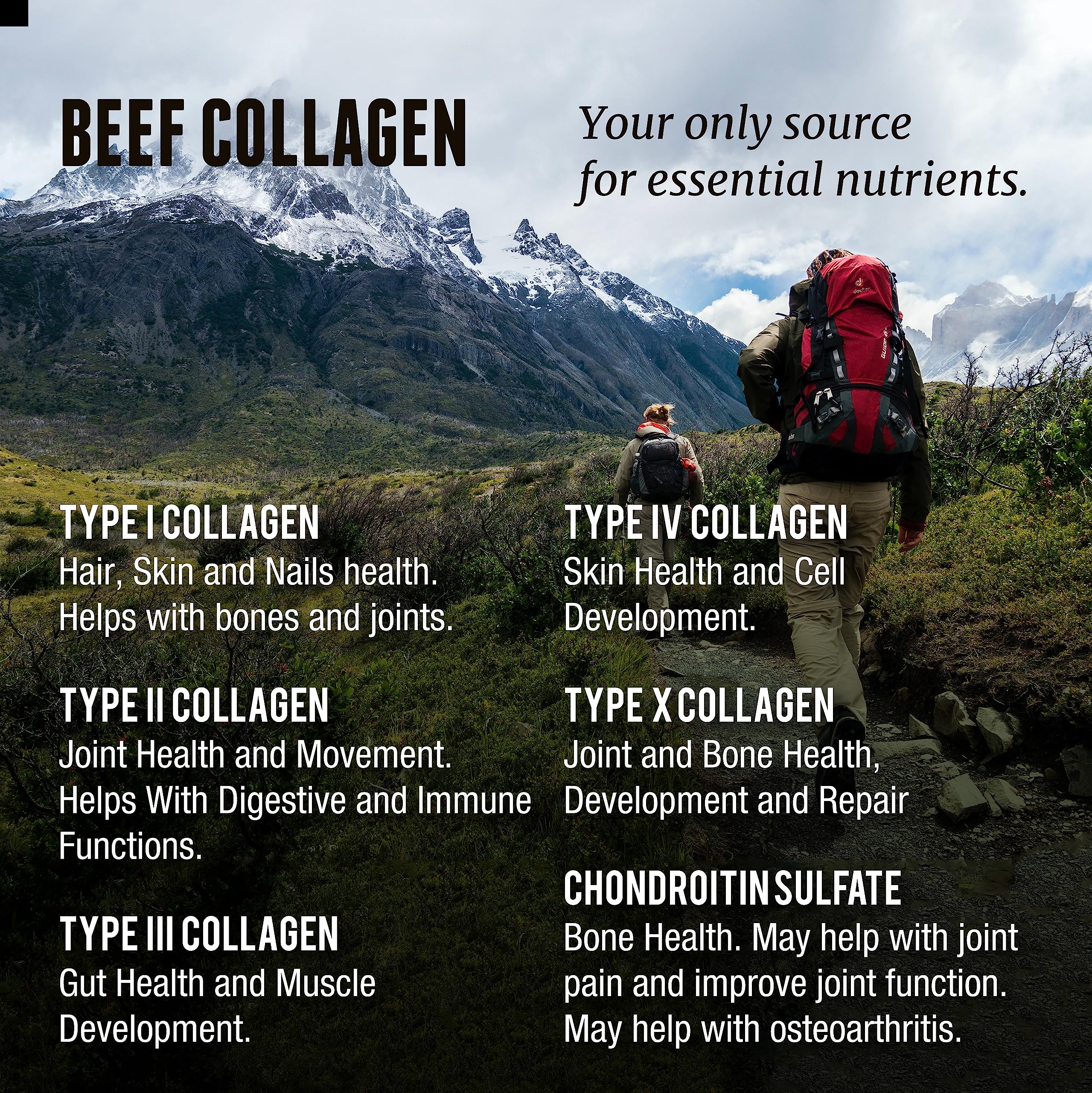 Freeze-dried collagen powder close-up.