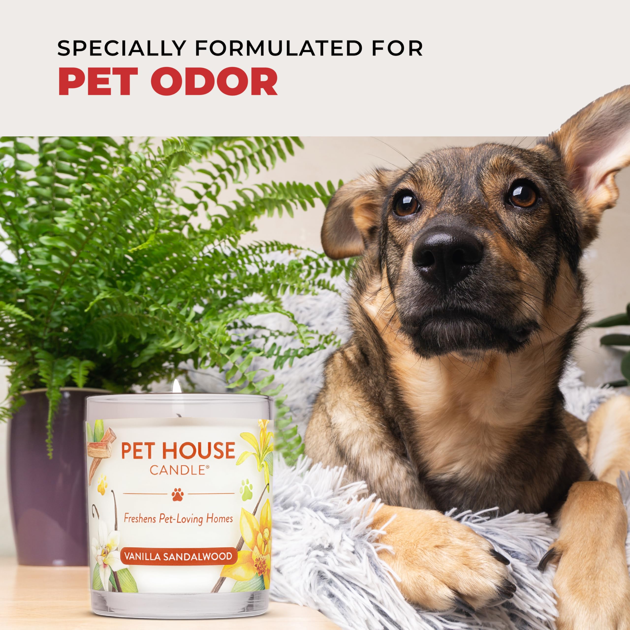 Lit Holiday Spice candle from One Fur All in a cozy living room.