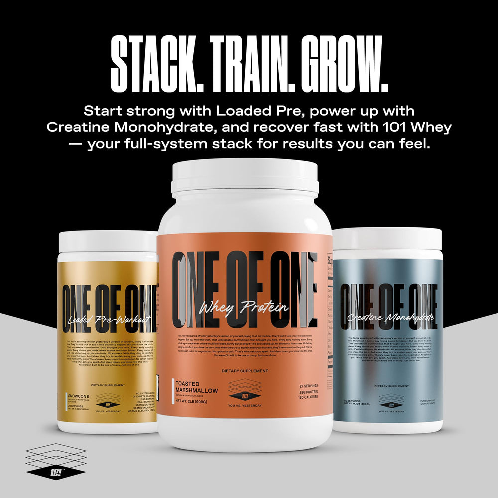 ONE OF ONE whey tub front packaging highlights gluten-free formula.