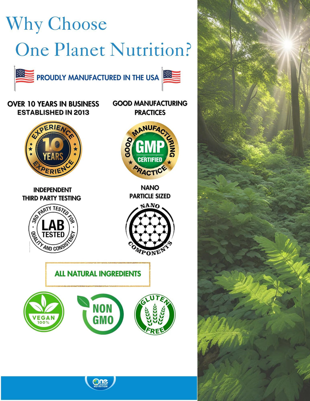 Digestive health and bile support concept in One Planet Nutrition imagery.