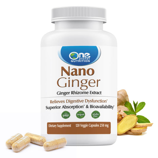 One Planet Nutrition Nano Ginger Root bottle shown on a kitchen counter, supporting daily digestion.