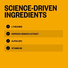 ONNIT Alpha Brain Instant ingredients blend graphic emphasizes L-Theanine and Alpha GPC synergy.