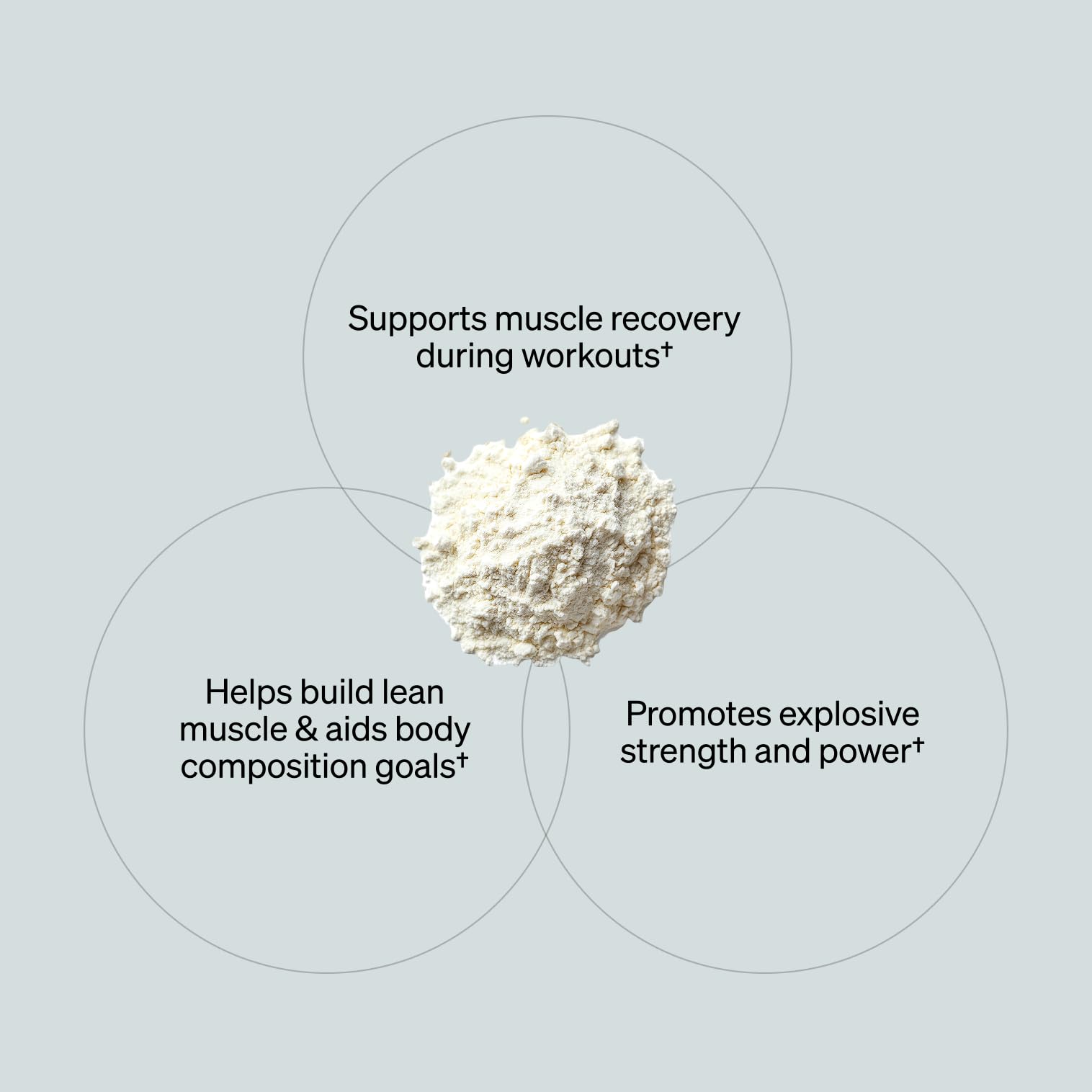 ONNIT Creatine Monohydrate strength training scene hints at explosive potential.