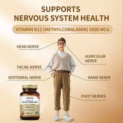 Oppuland methyl B-12 chewable tablets jar for daily vitality with folate.