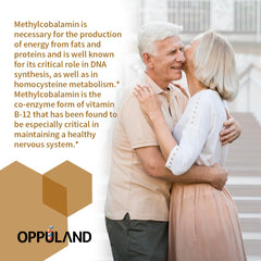 Oppuland vegan B12 supplement—plant-based formula with folate for cellular nutrition.