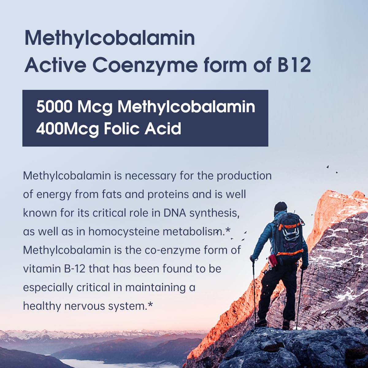 Vegan-friendly label on Oppuland methyl B-12 bottle