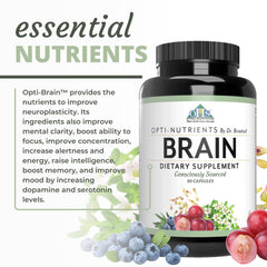 Desk study scene with Optimal Health Systems Brain on the workspace for focus.