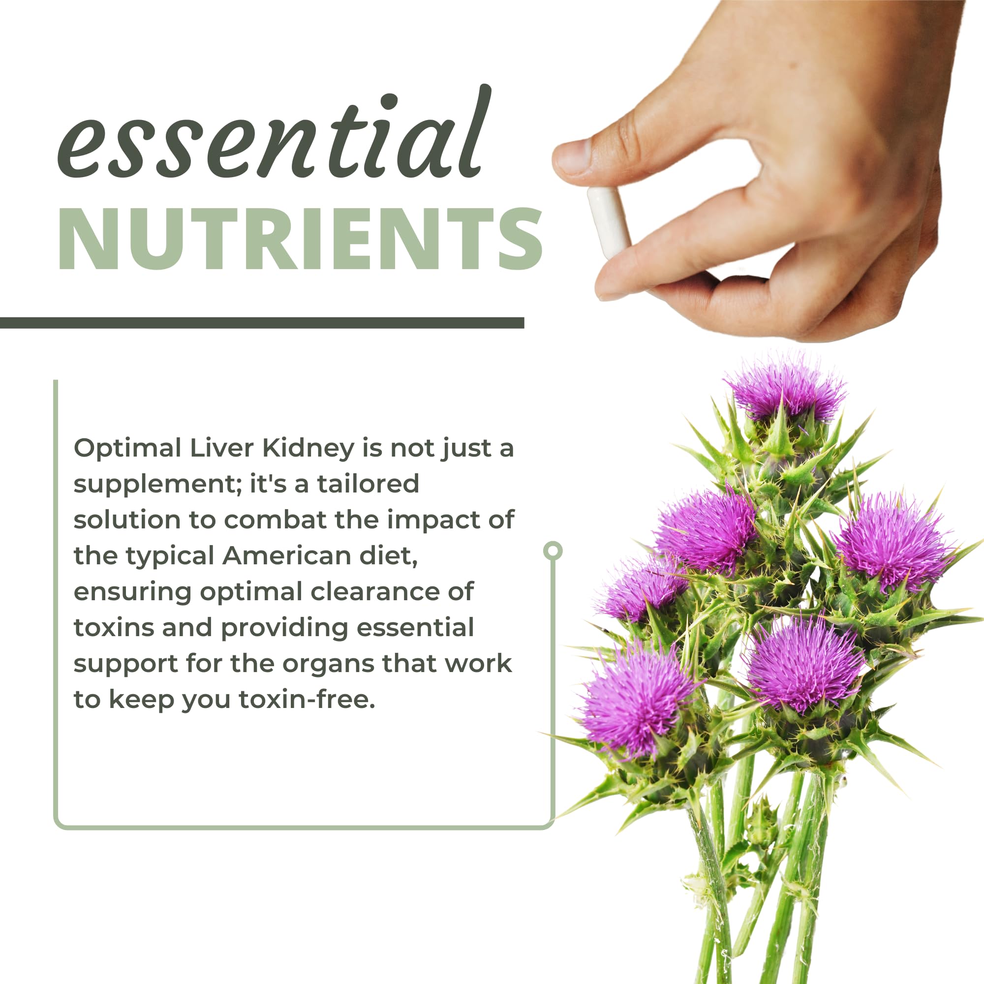 Optimal Health Systems Liver/Kidney detox molasses glass bottle closeup showing mineral-rich nourishment
