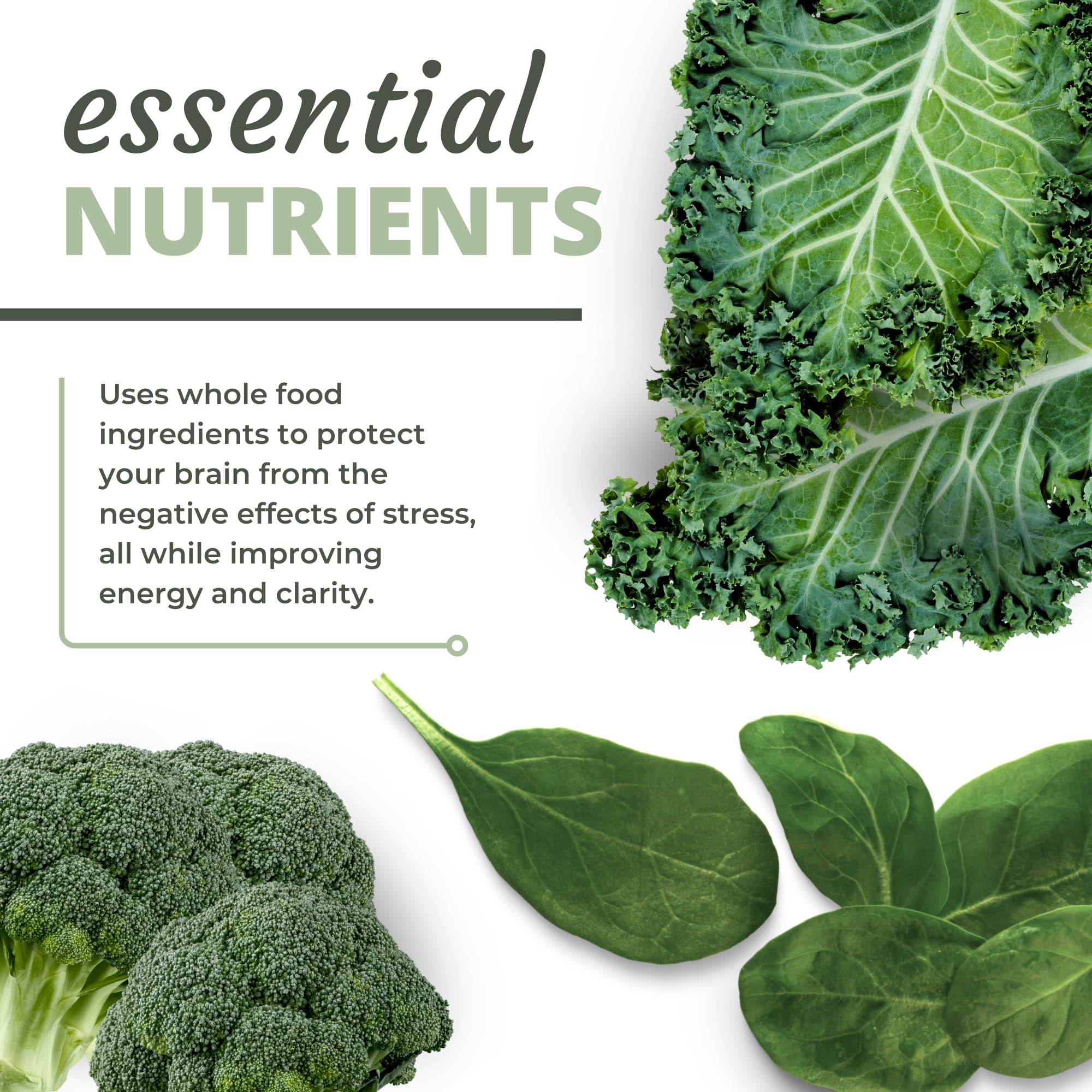 Optimal Health Systems NADH + DIM ingredients panel featuring plant-based components