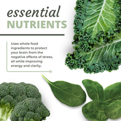 Optimal Health Systems NADH + DIM ingredients panel featuring plant-based components