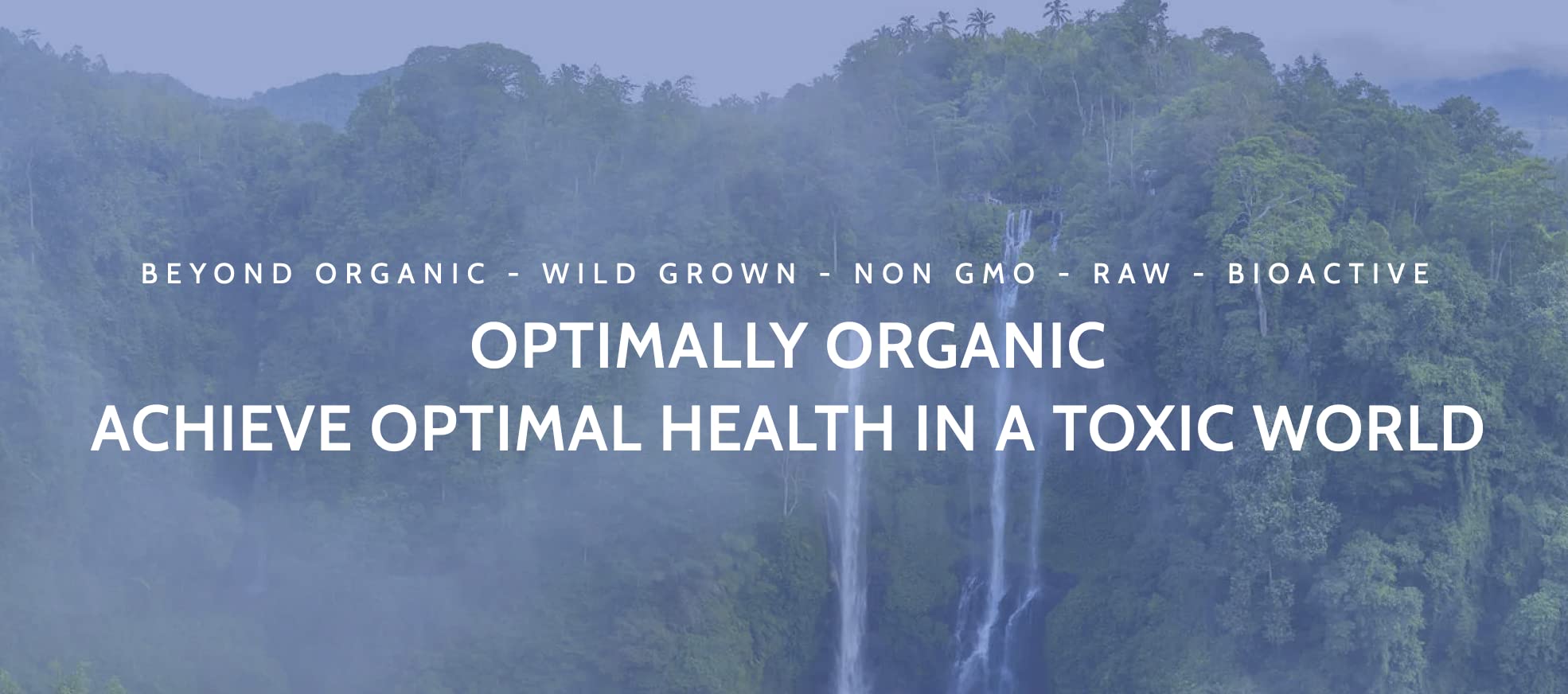 Optimally Organic Red Pine Needle Oil Caps third-party purity test seal