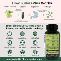 Optisan SulforaPlus capsules reveal sprouts inside, highlighting enzymes and bioavailability.