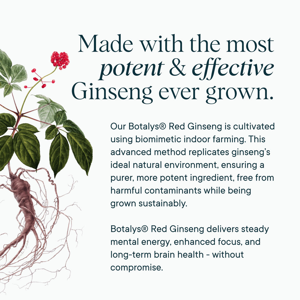 Bacopa Monnieri leaves featured for natural cognitive support ingredients in Ora Organic formula.
