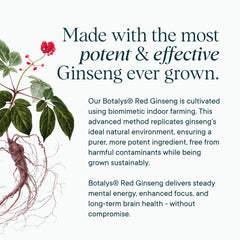 Bacopa Monnieri leaves featured for natural cognitive support ingredients in Ora Organic formula.