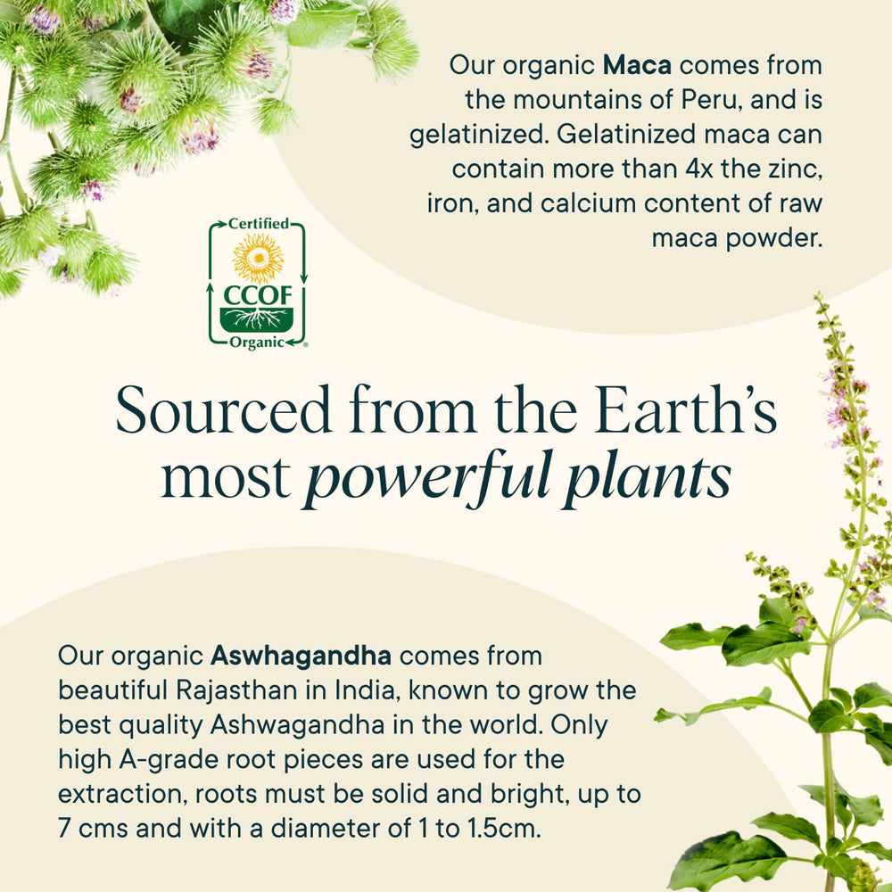 Ora Organic Hormone Balance packaging on display with clean design